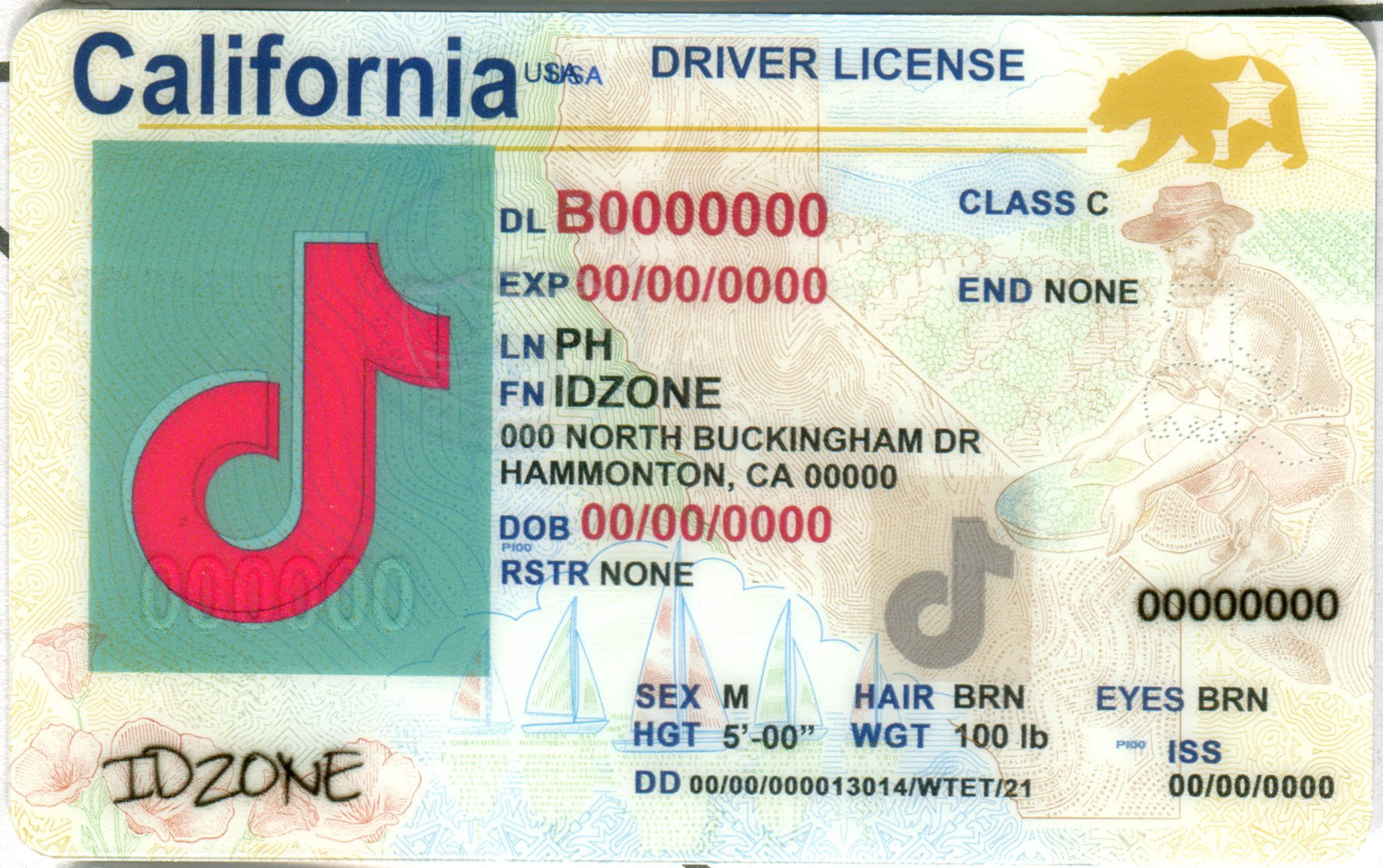 CALIFORINA-New Scannable fake id