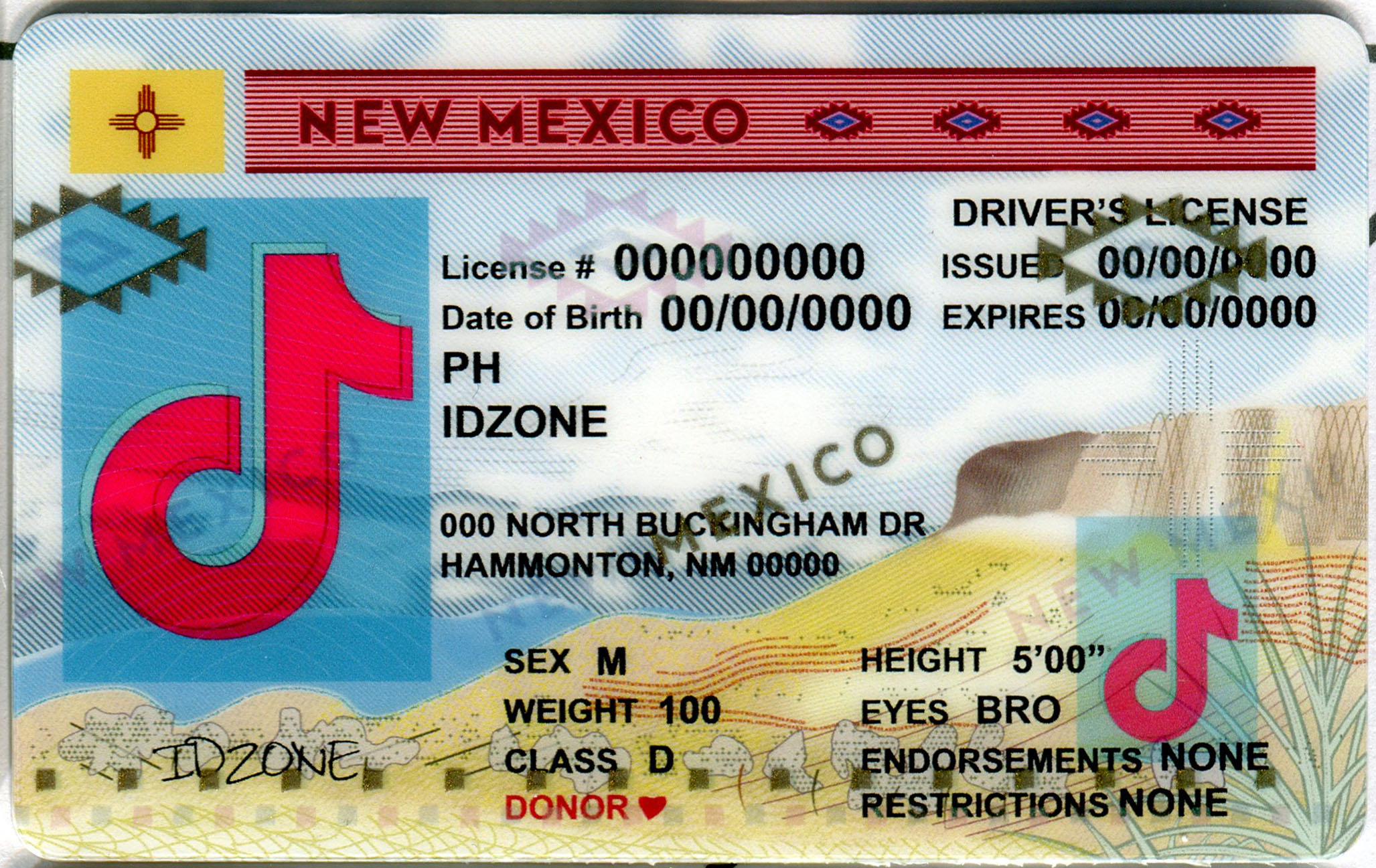NEW MEXICO Scannable fake id
