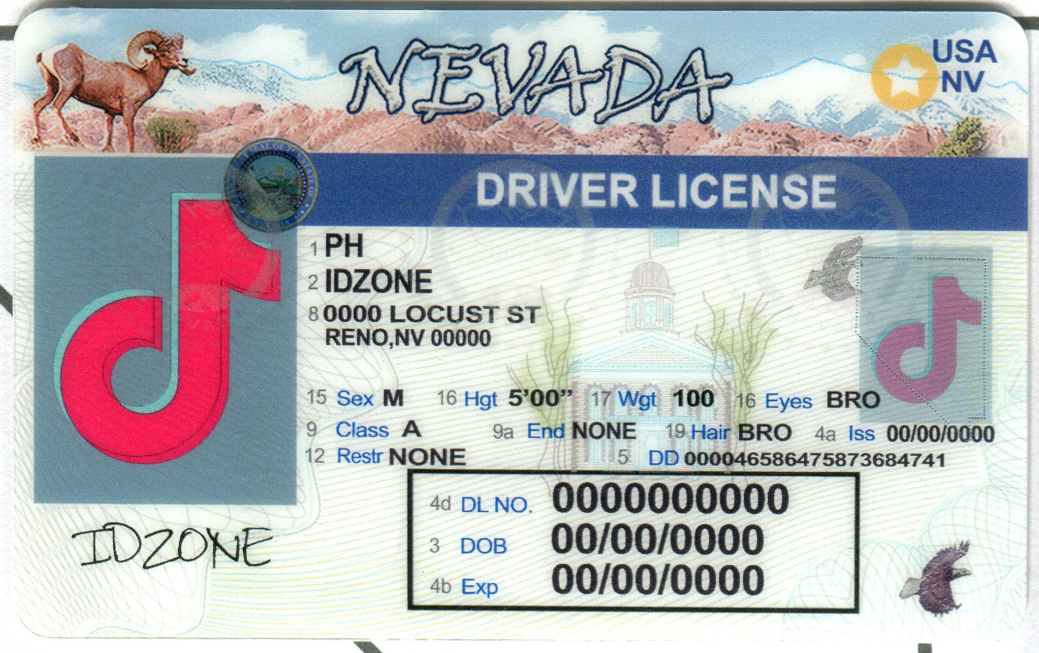 NEVADA Scannable fake id