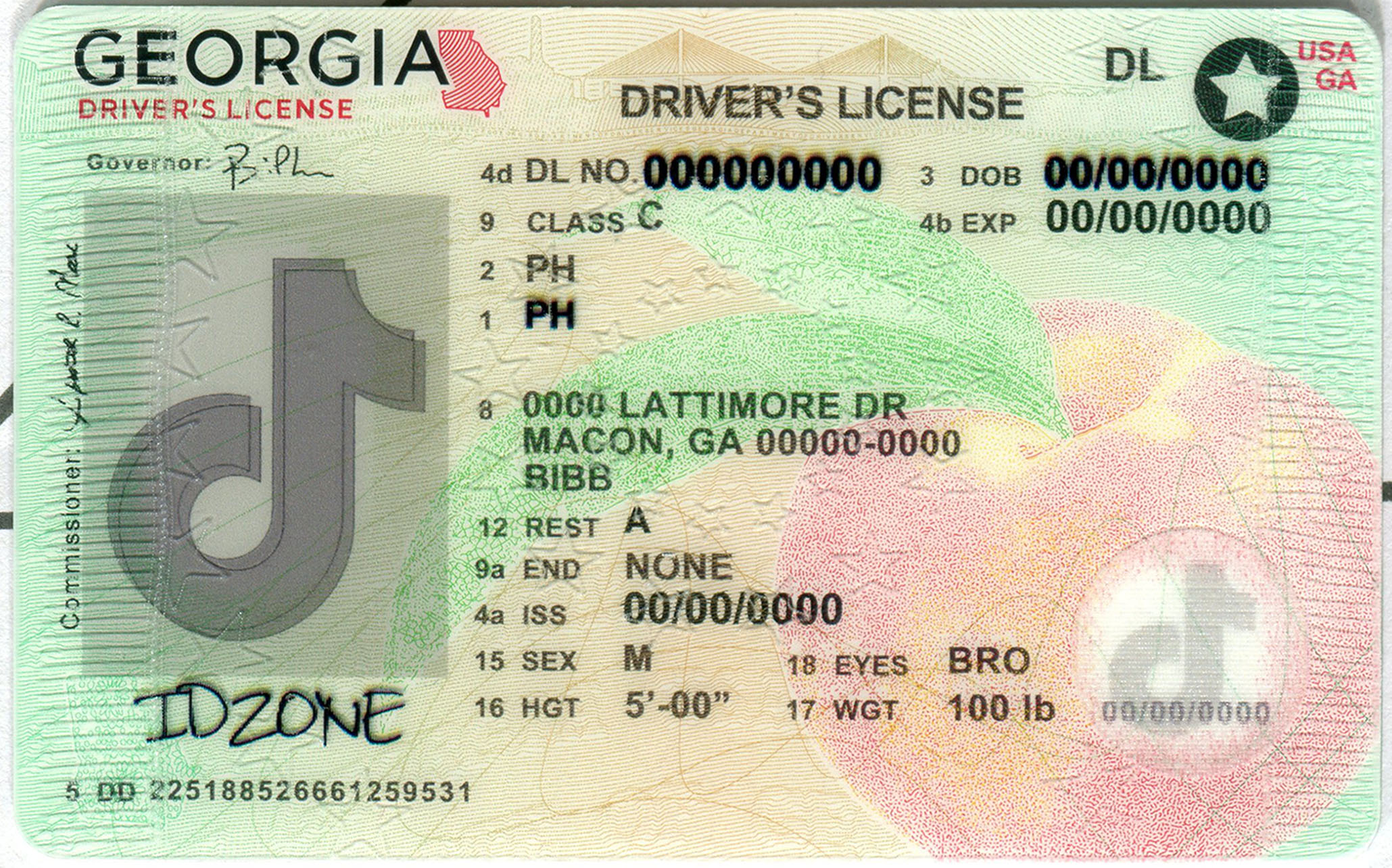 GEORGIA-New Scannable fake id