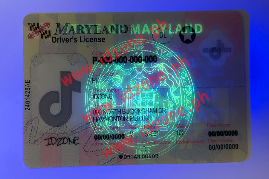 MARYLAND-New | Fake ID |Scannable Fake IDs|Buy Fake IDs| Fake-ID|Fake ...