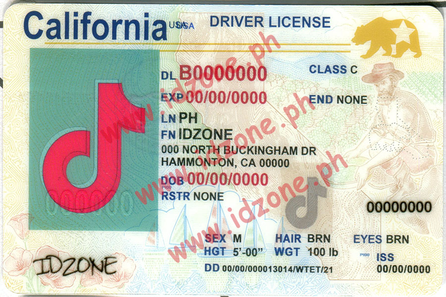 1 Scannable fake id