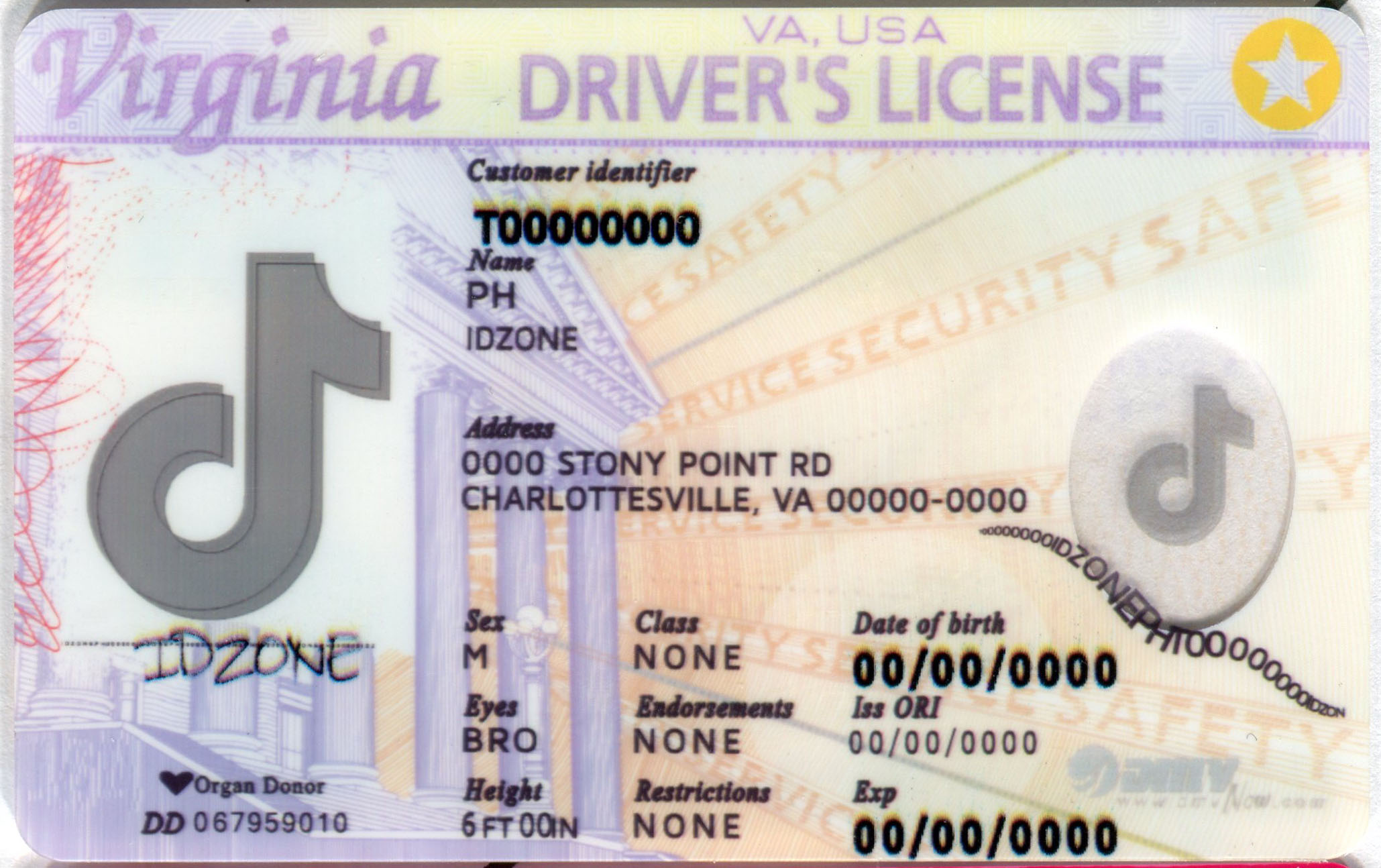 VIRGINIA Scannable fake id