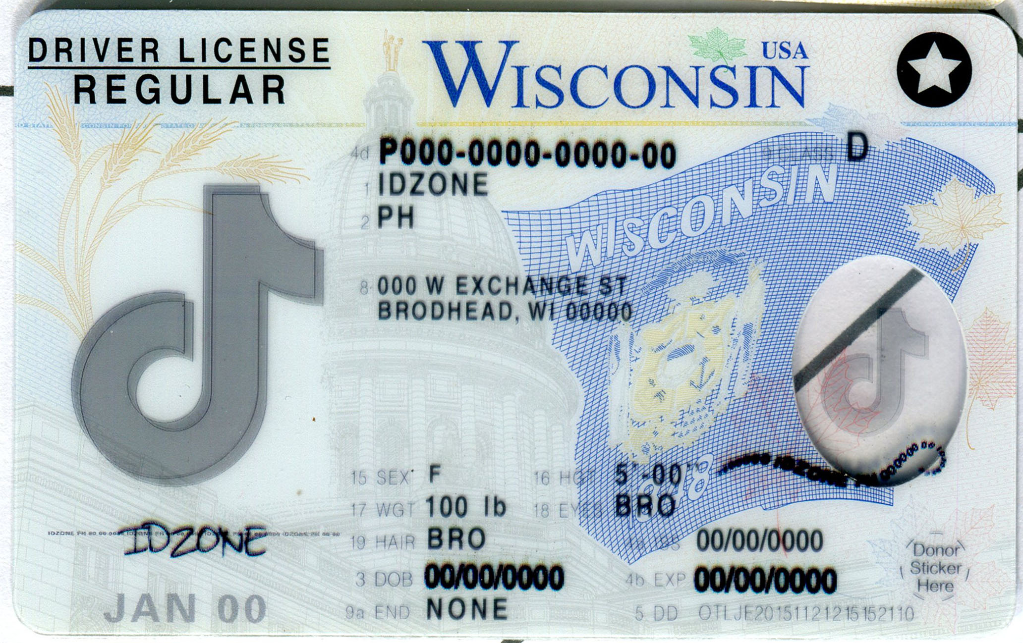 WISCONSIN-Old Scannable fake id