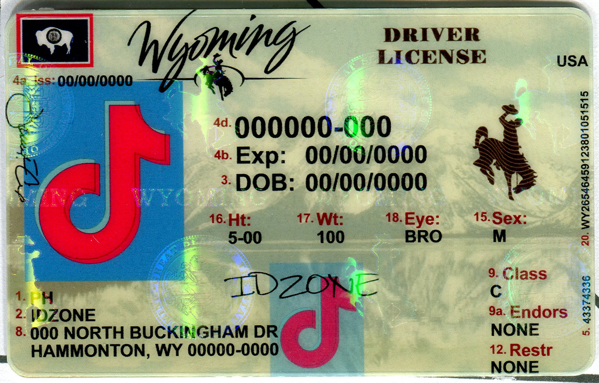 WYOMING-Old Scannable fake id