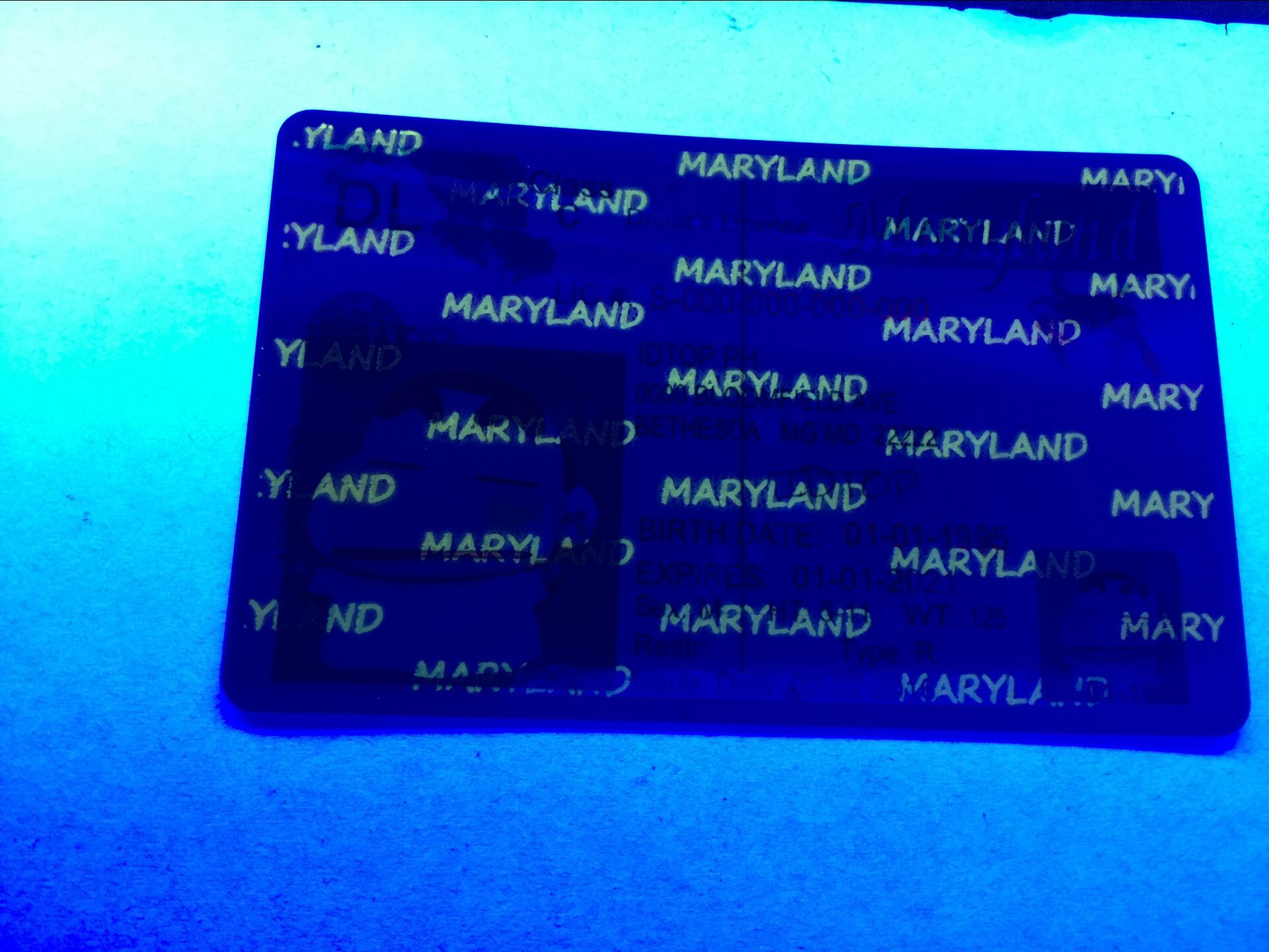 MD UV Scannable fake id