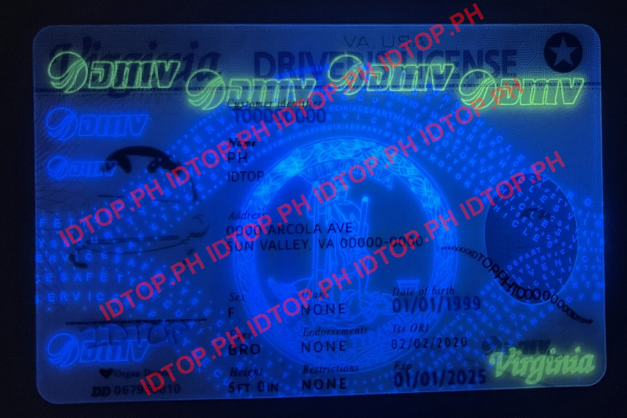 FAKE ID UV  VA Scannable fake id