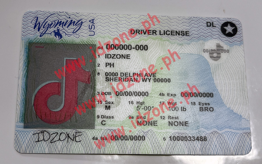 USA KY ID fake id
