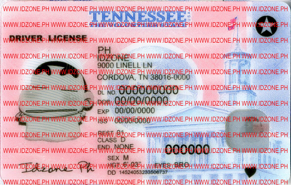 TENNESSEE fake ids