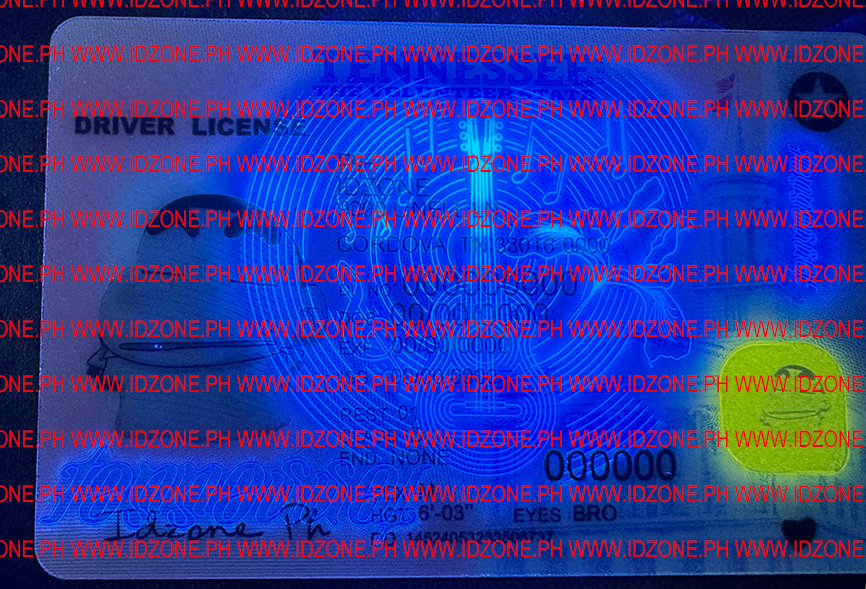 best ids TENNESSEE