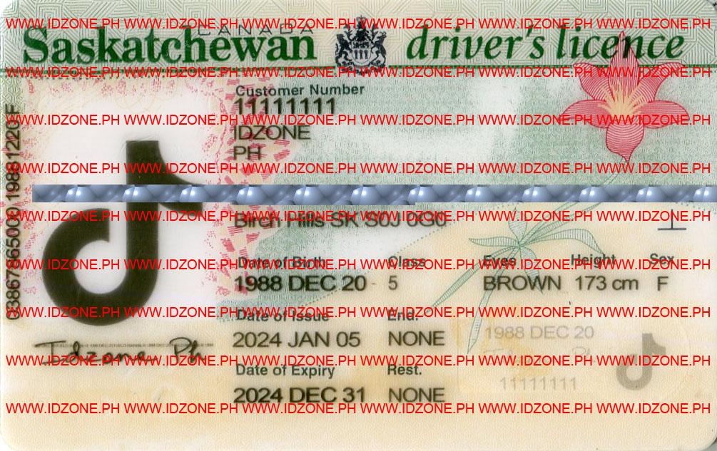 fake-id-Canada-Saskatchewan-id